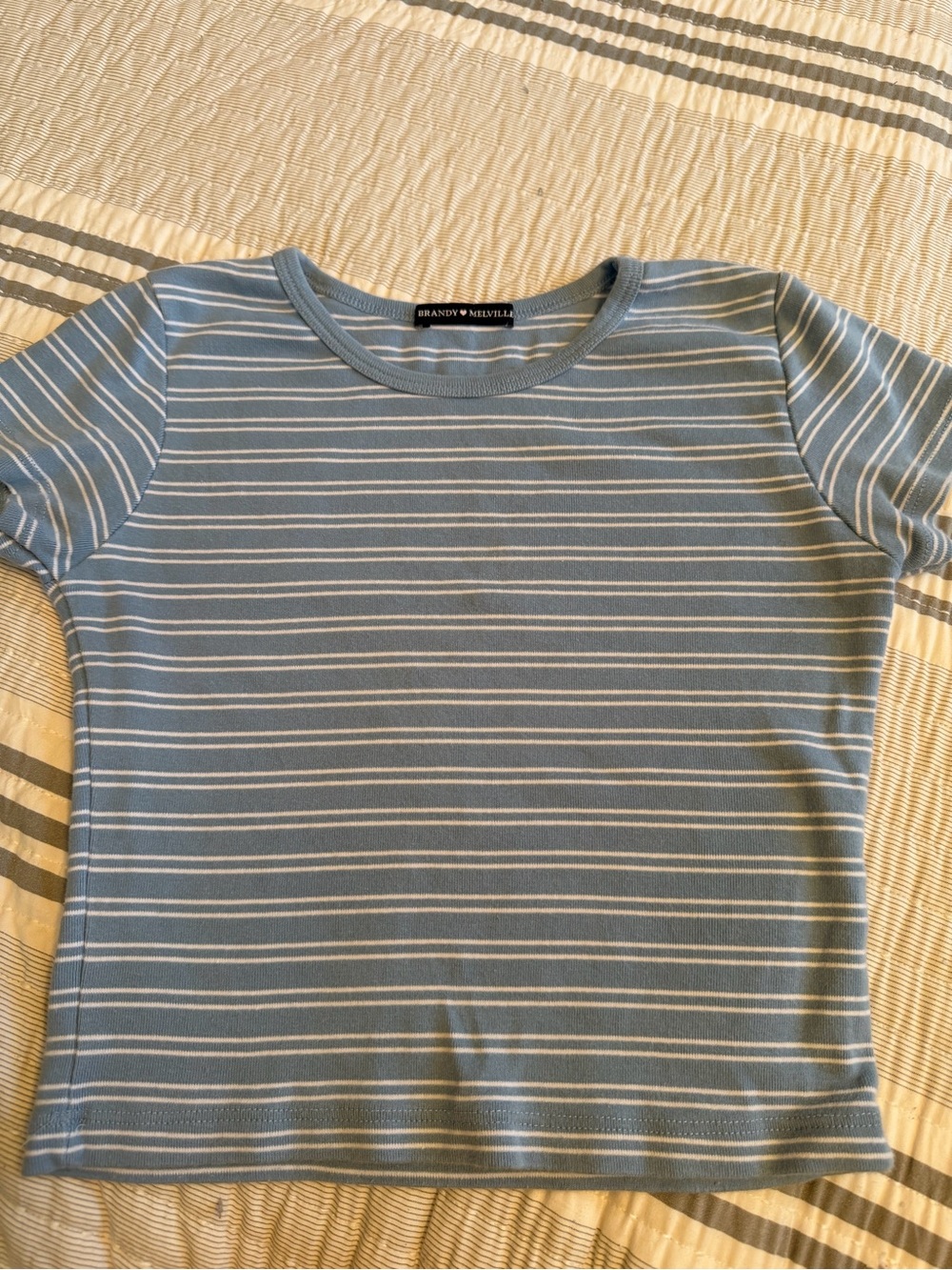 Brandy Melville Light Blue and White Striped Tee
